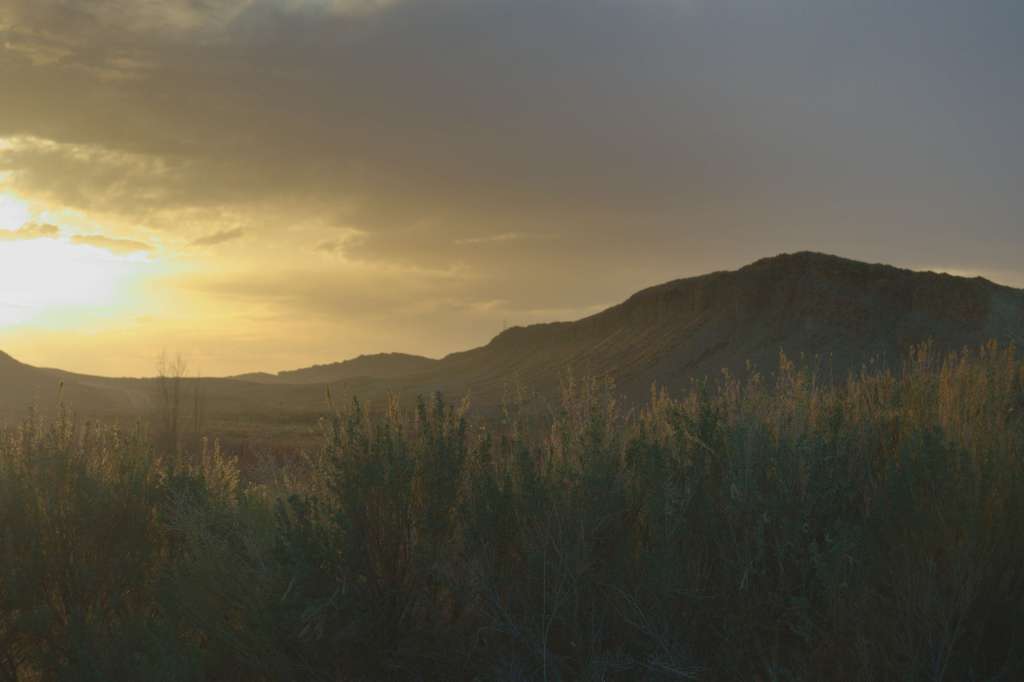 cover image for link to wyoming photos